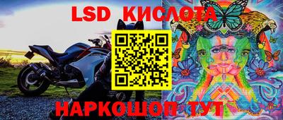 ПСИЛОЦИБИНОВЫЕ ГРИБЫ Кандалакша