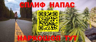 ПСИЛОЦИБИНОВЫЕ ГРИБЫ Кандалакша