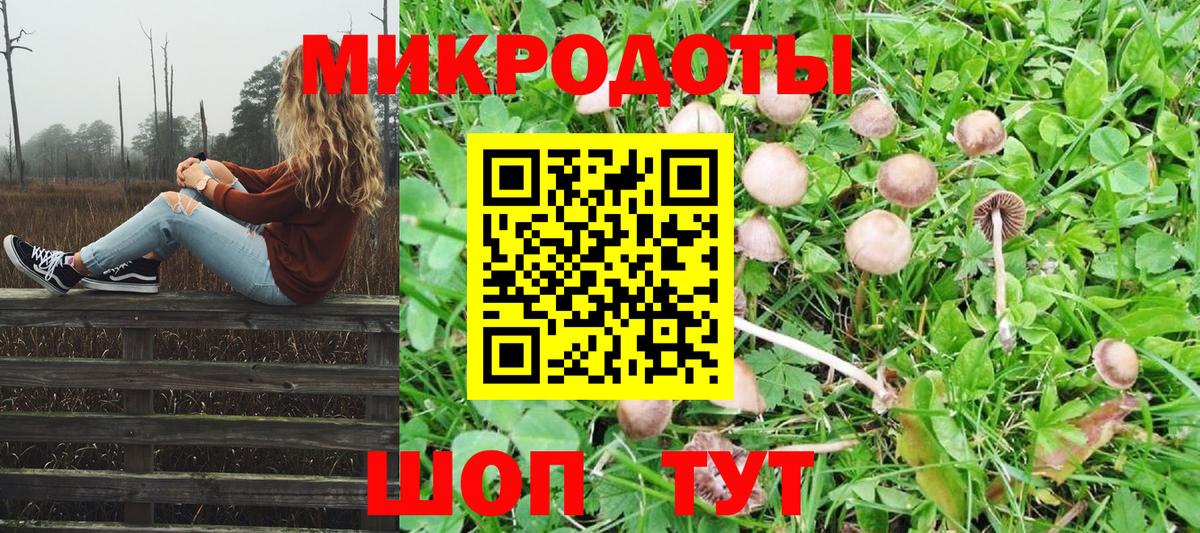 Псилоцибиновые грибы Cubensis Евпатория